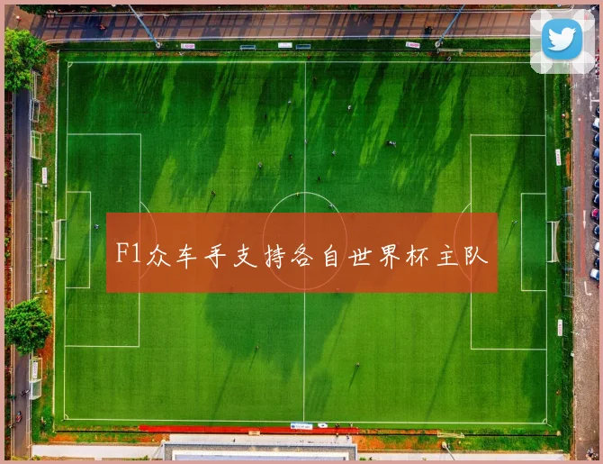 F1众车手支持各自世界杯主队